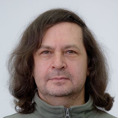 Гордей Борисович Лесовик