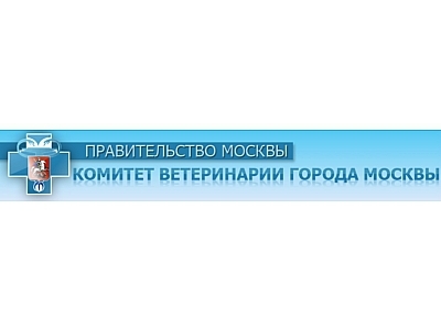 Анна Бабушкина