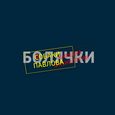 Собаки Павлова