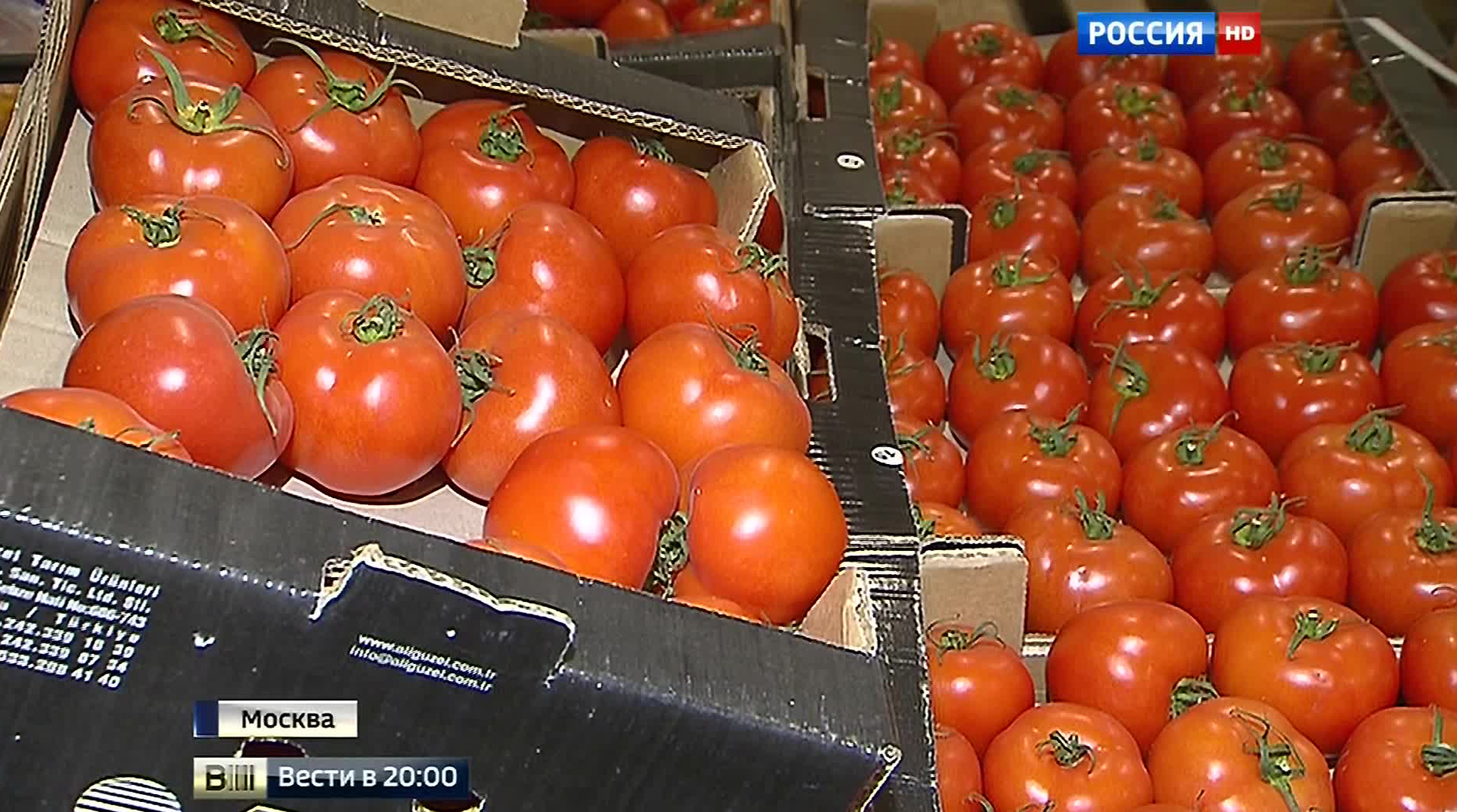 Визовый режим: вместе с российскими туристами из Турции уйдут деньги