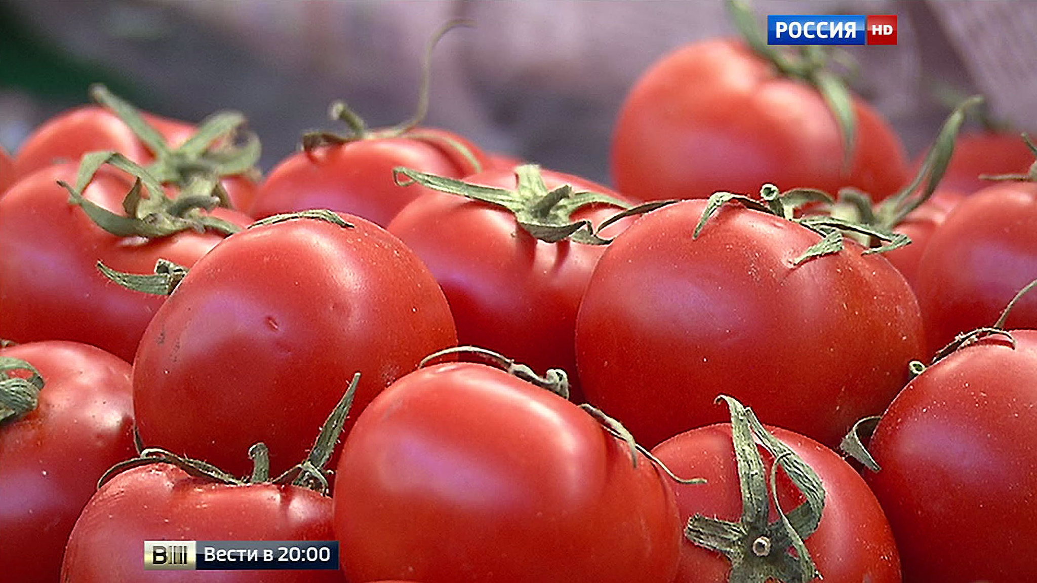 Семейный бизнес: Минобороны представило доказательства сотрудничества Турции и ИГ