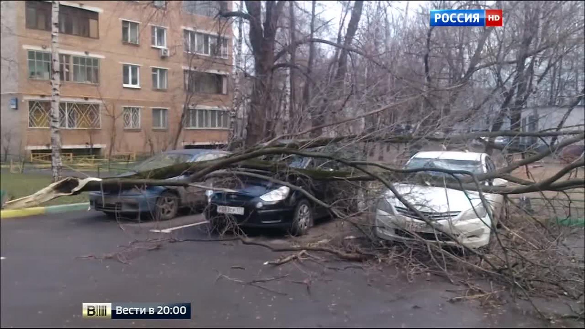 Ветер, дождь и наводнение: на Северо-Западе и в Центре России наступило зимнее лето