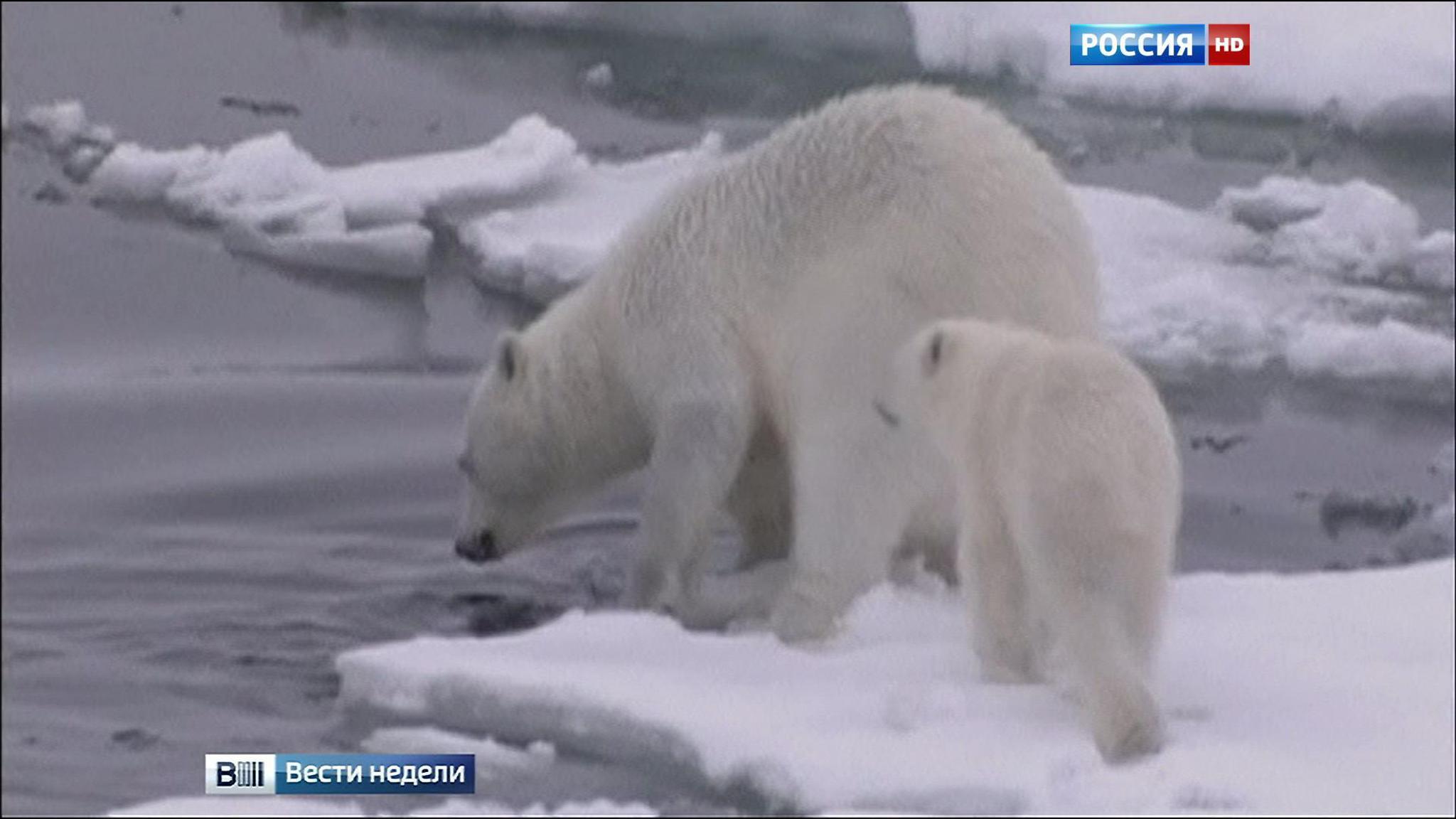 Глобальное потепление: загрязняют одни, платят - другие