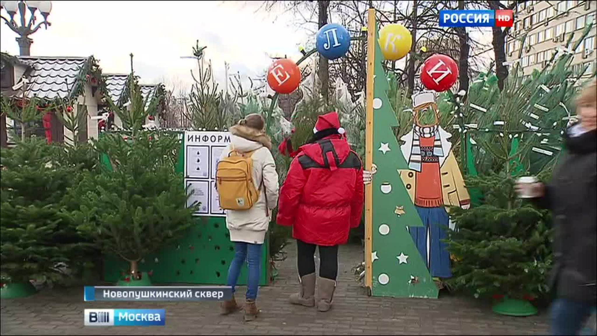 В Новопушкинском сквере открылся елочный базар