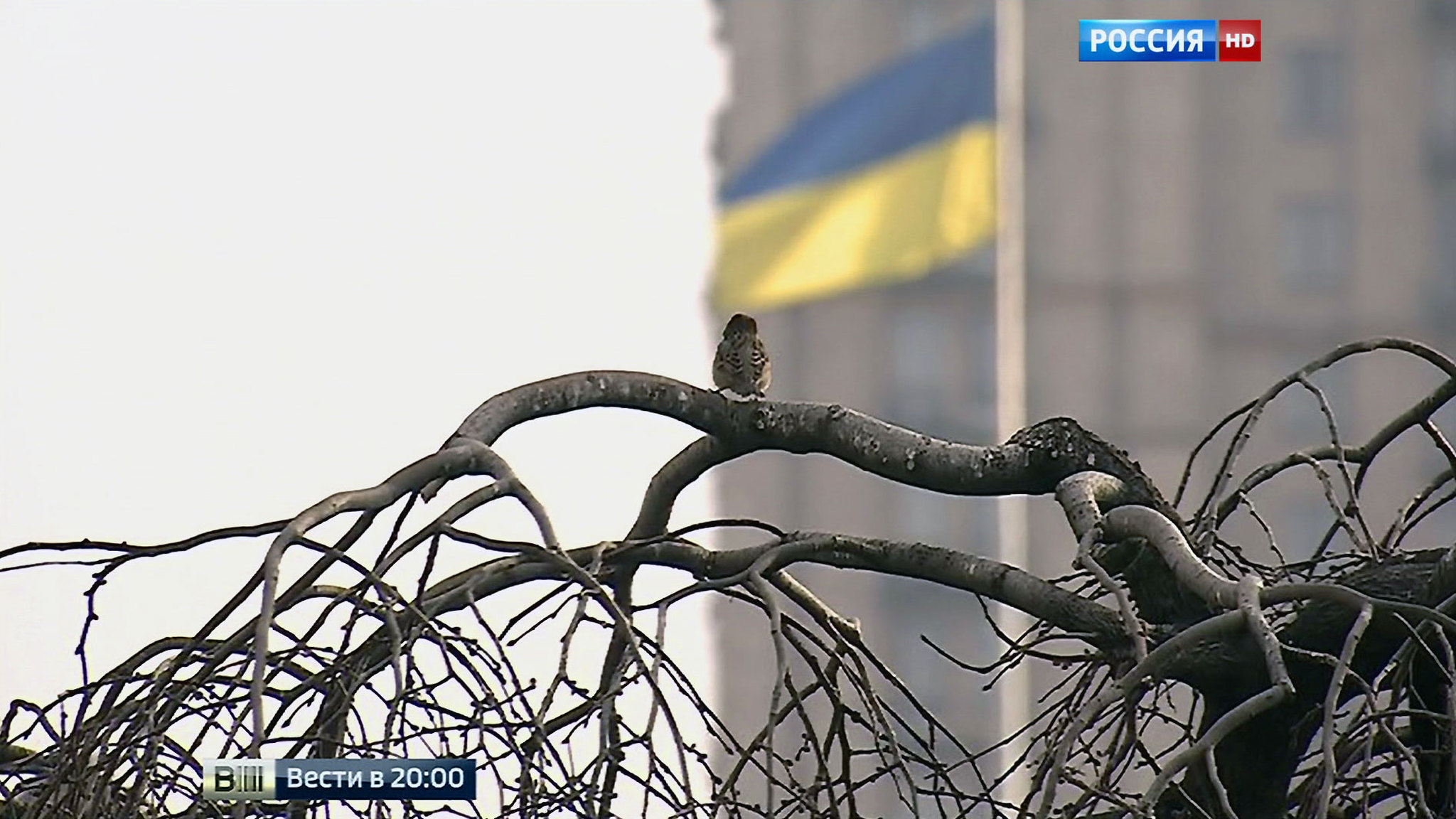 На трехмиллиардный долг введен мораторий: чем рискует Украина
