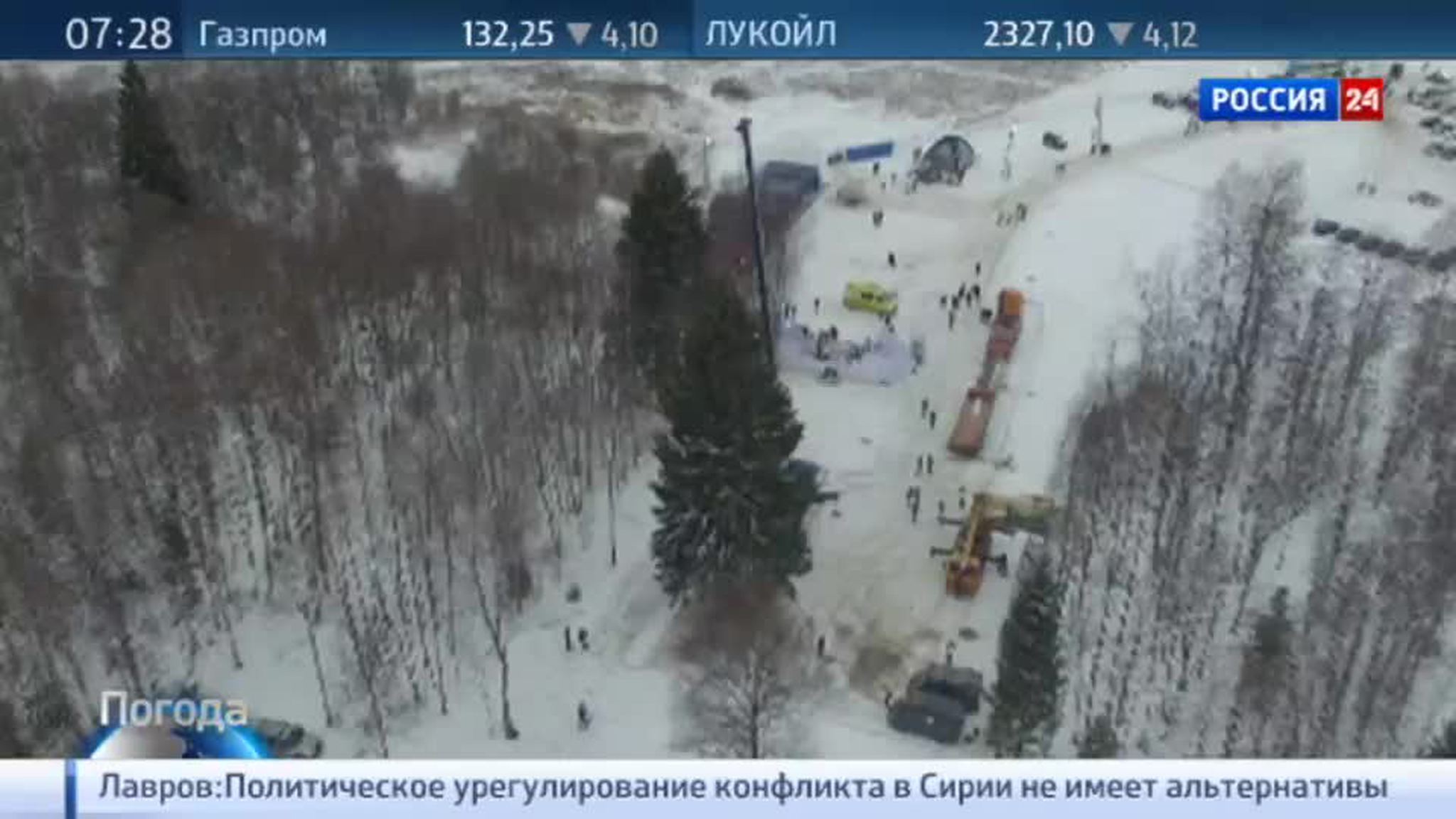 Главная елка страны уже в столице: по каким критериям ее выбирают