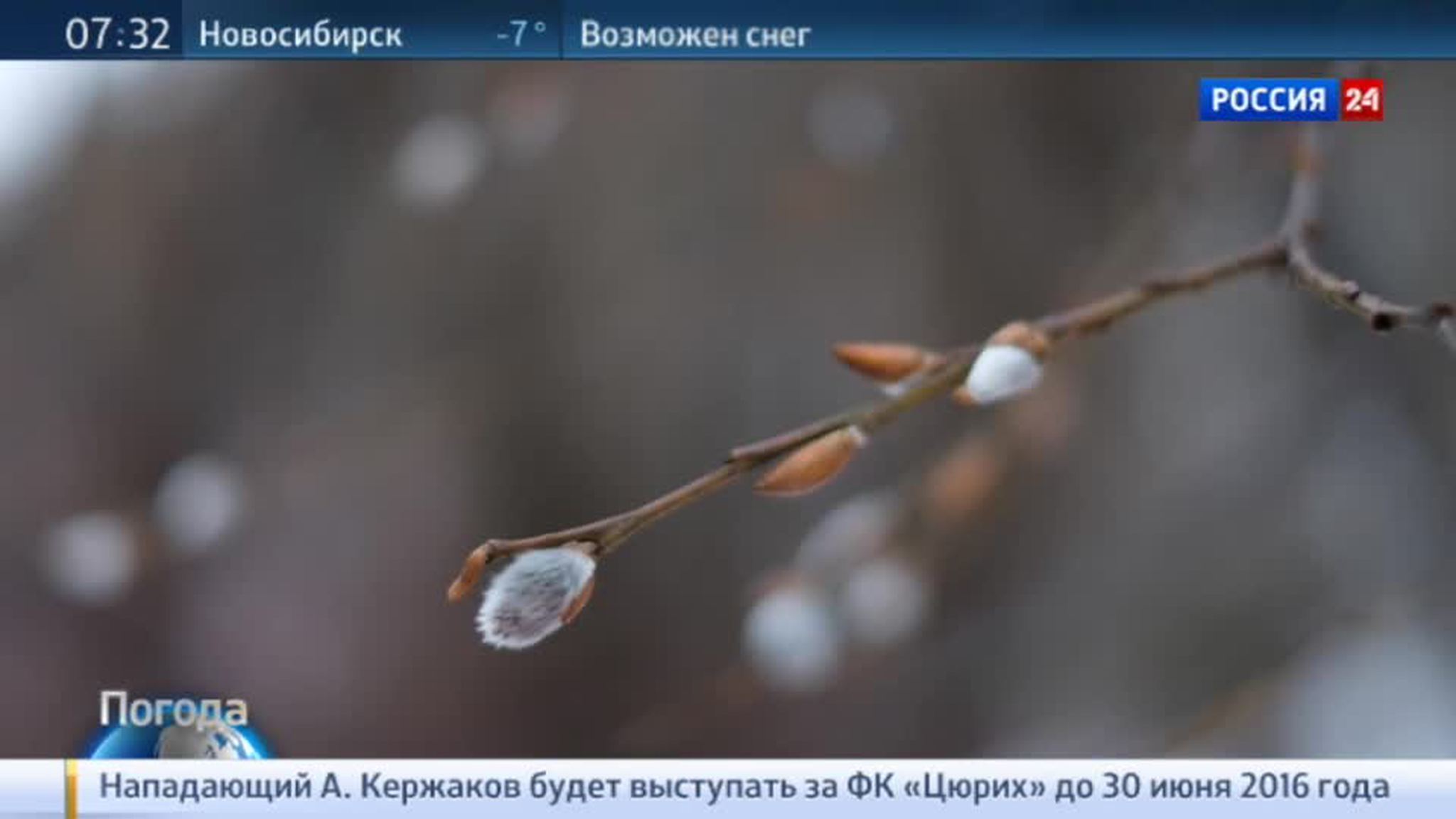 Непредсказуемая зима: в Великом Устюге чуть не случился потоп