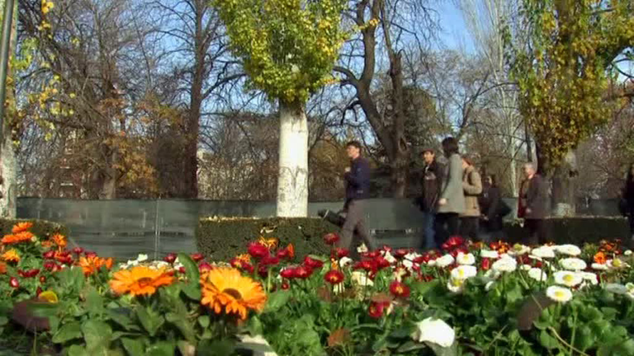 Декабрь в Испании побьет все температурные рекорды