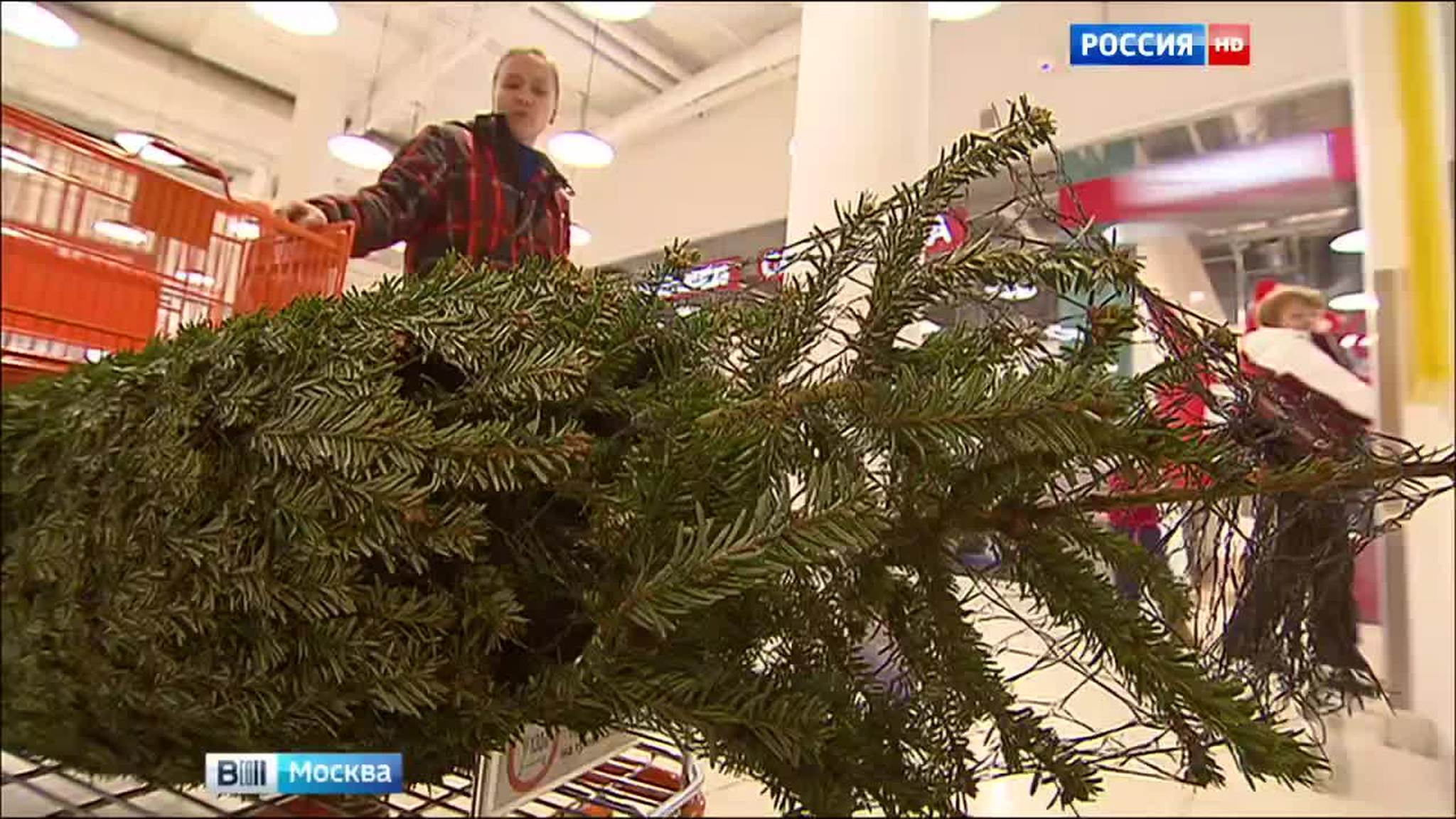 Елки на московских базарах прошли серьезный кастинг