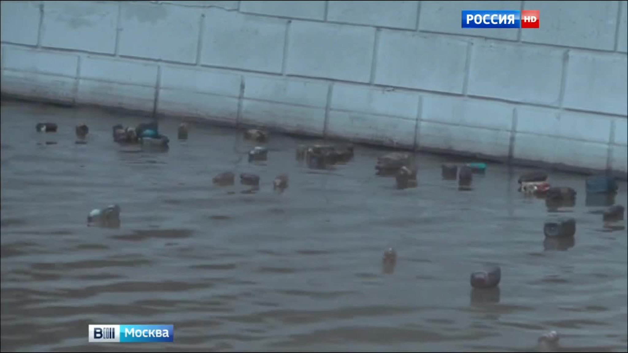 В Яузу сбросили сотни пластиковых бутылок с остатками масла и бензина