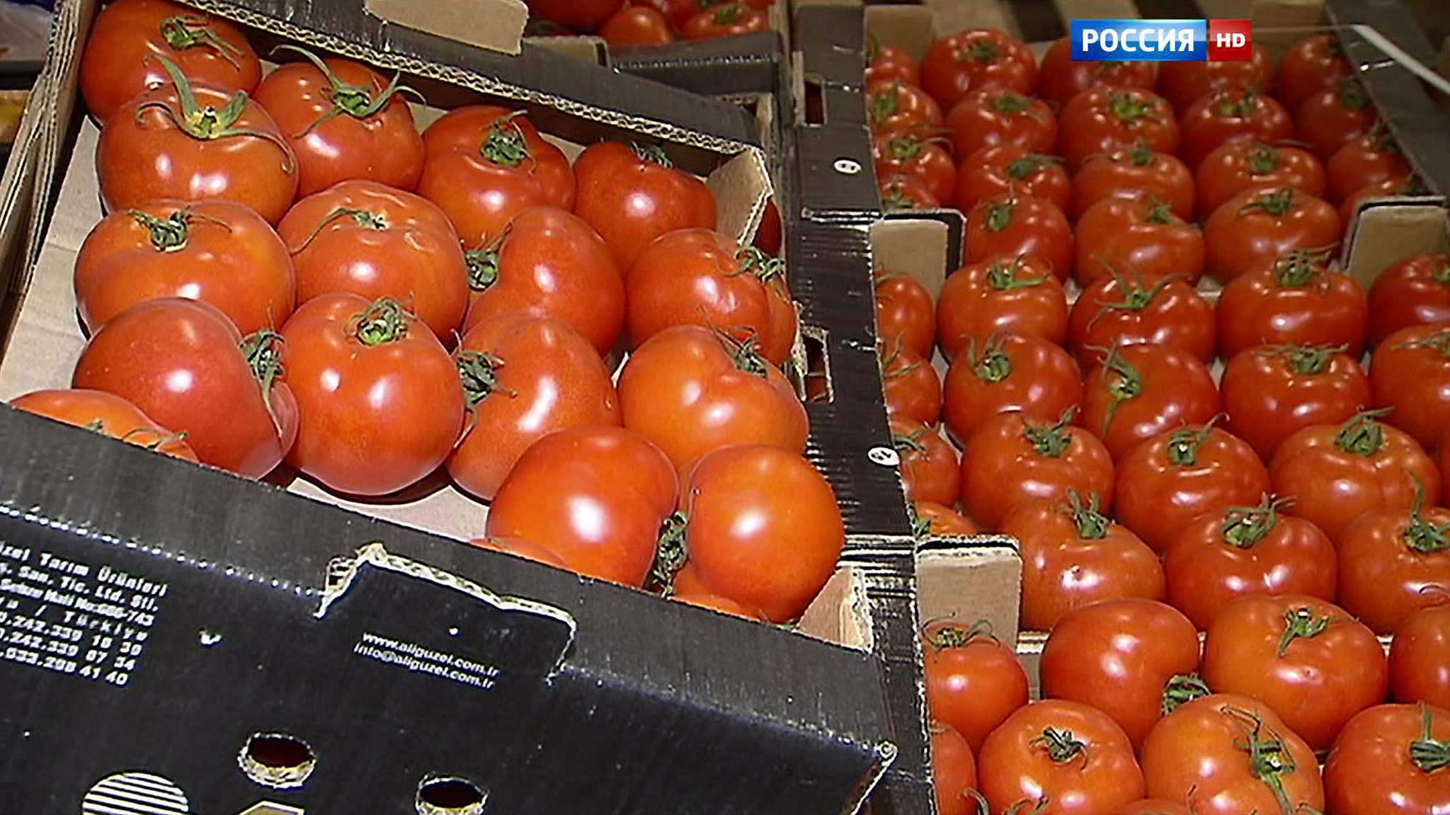 Вслед за помидорами: Москва расширила санкции к Турции