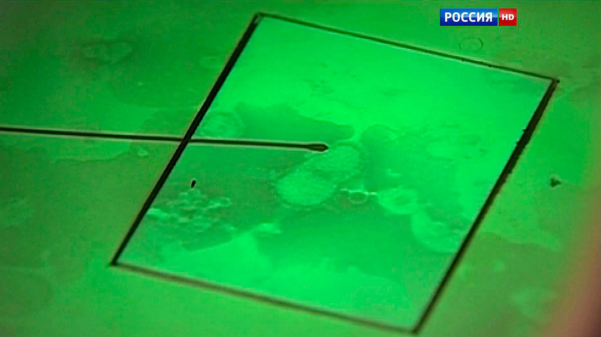 Грипп постоянно мутирует