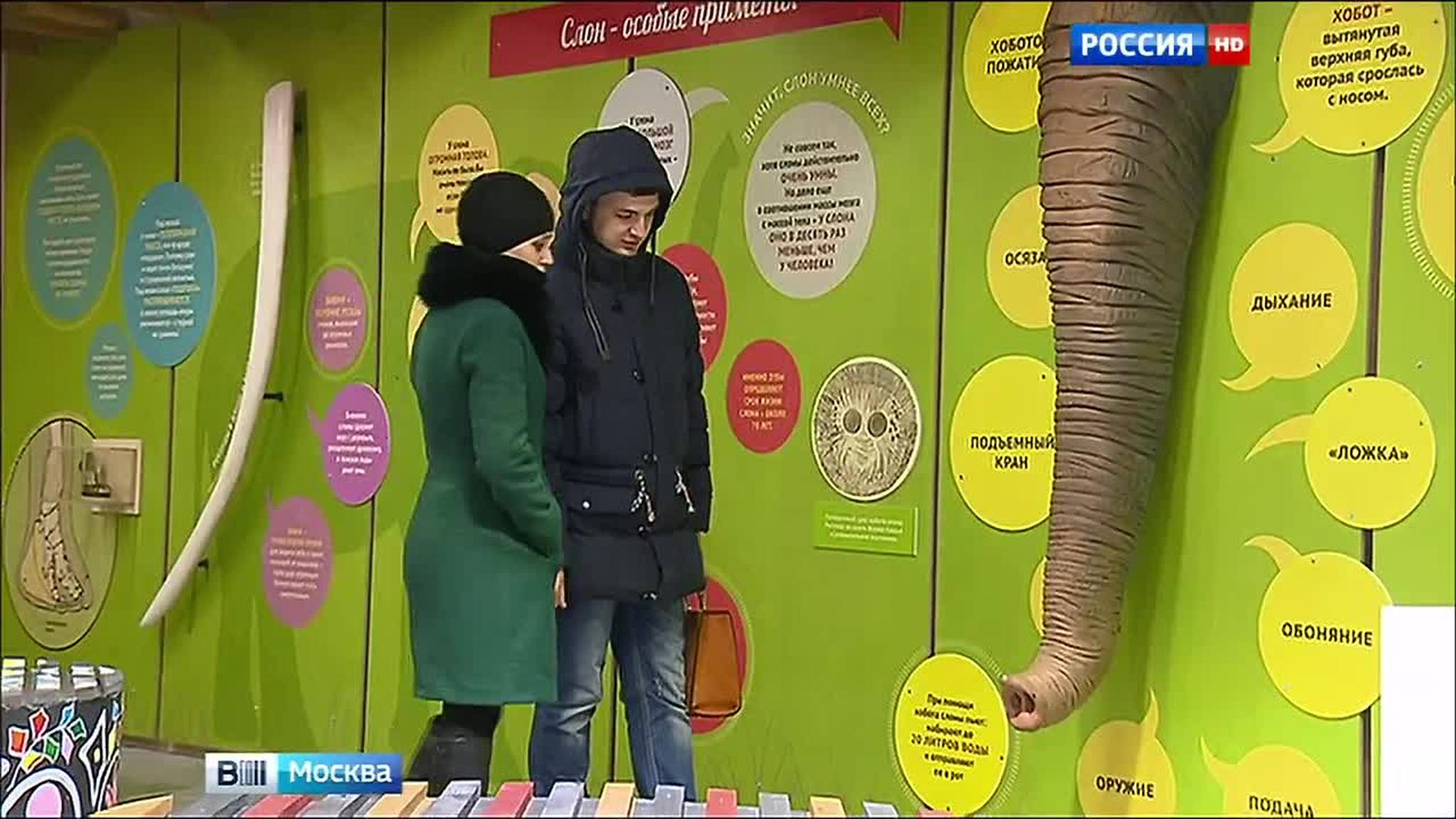 В Московском зоопарке открылся Музей слонов