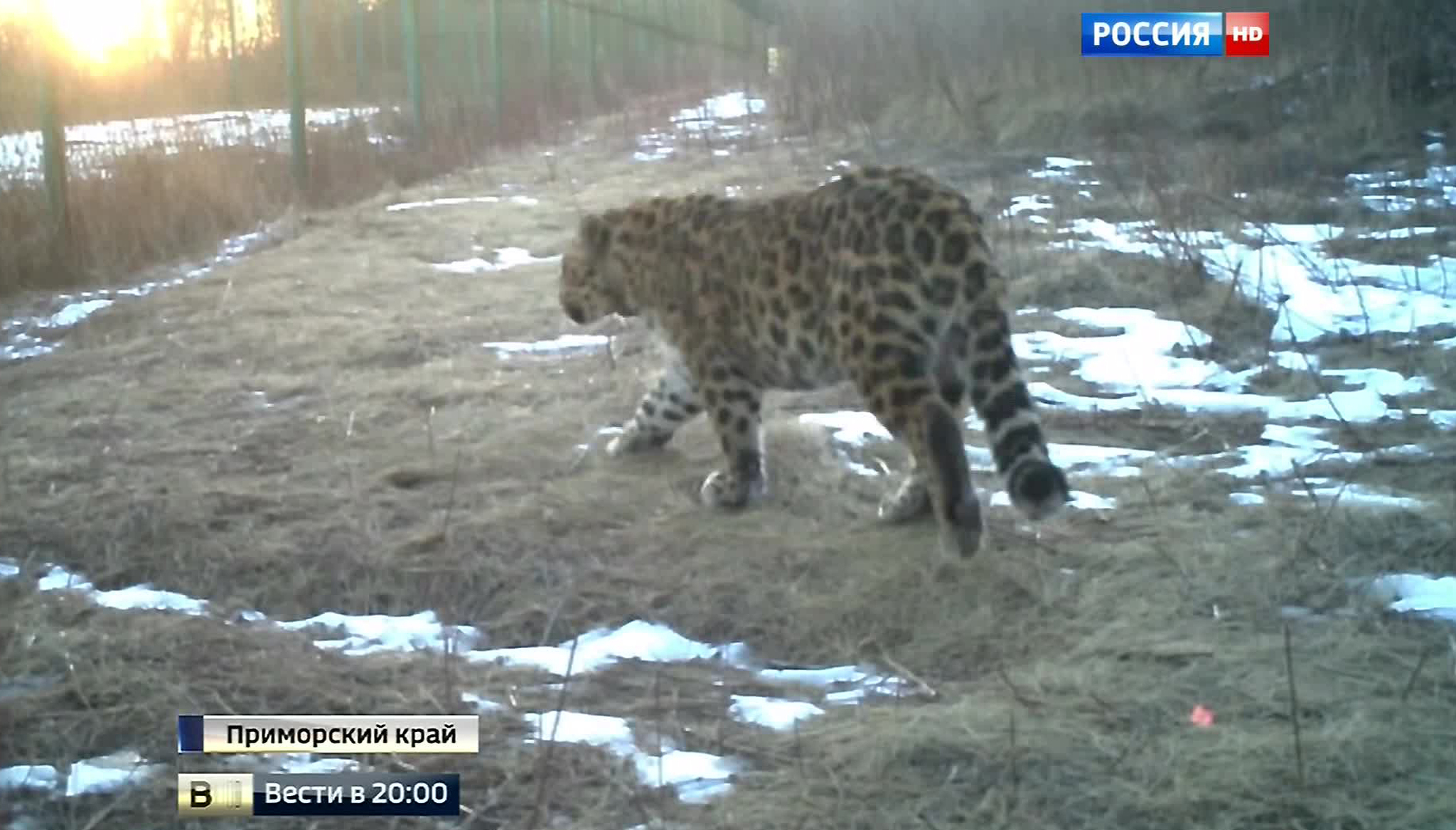 Эфир от 26.03.2016