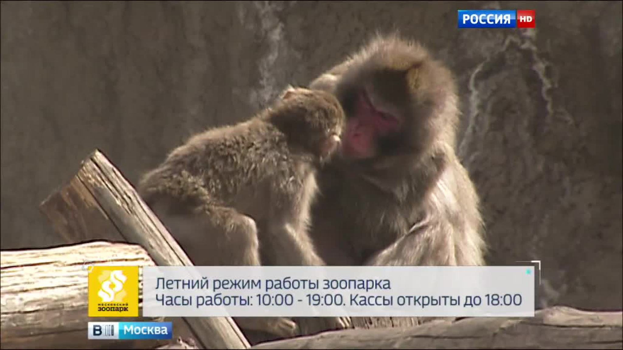 Московский зоопарк перешел на летний режим