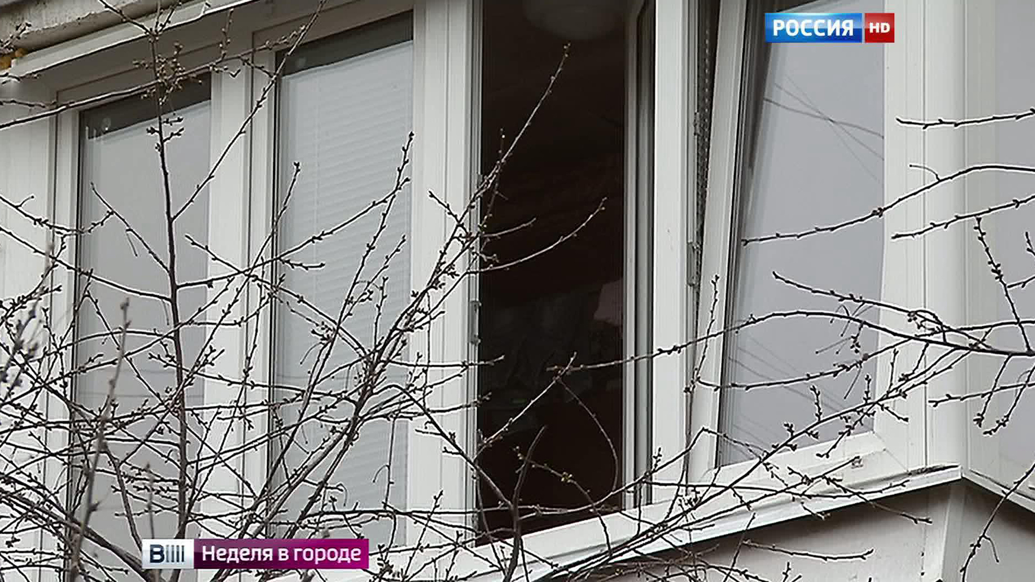 Задержан москвич, расстрелявший работника ЖЭКа