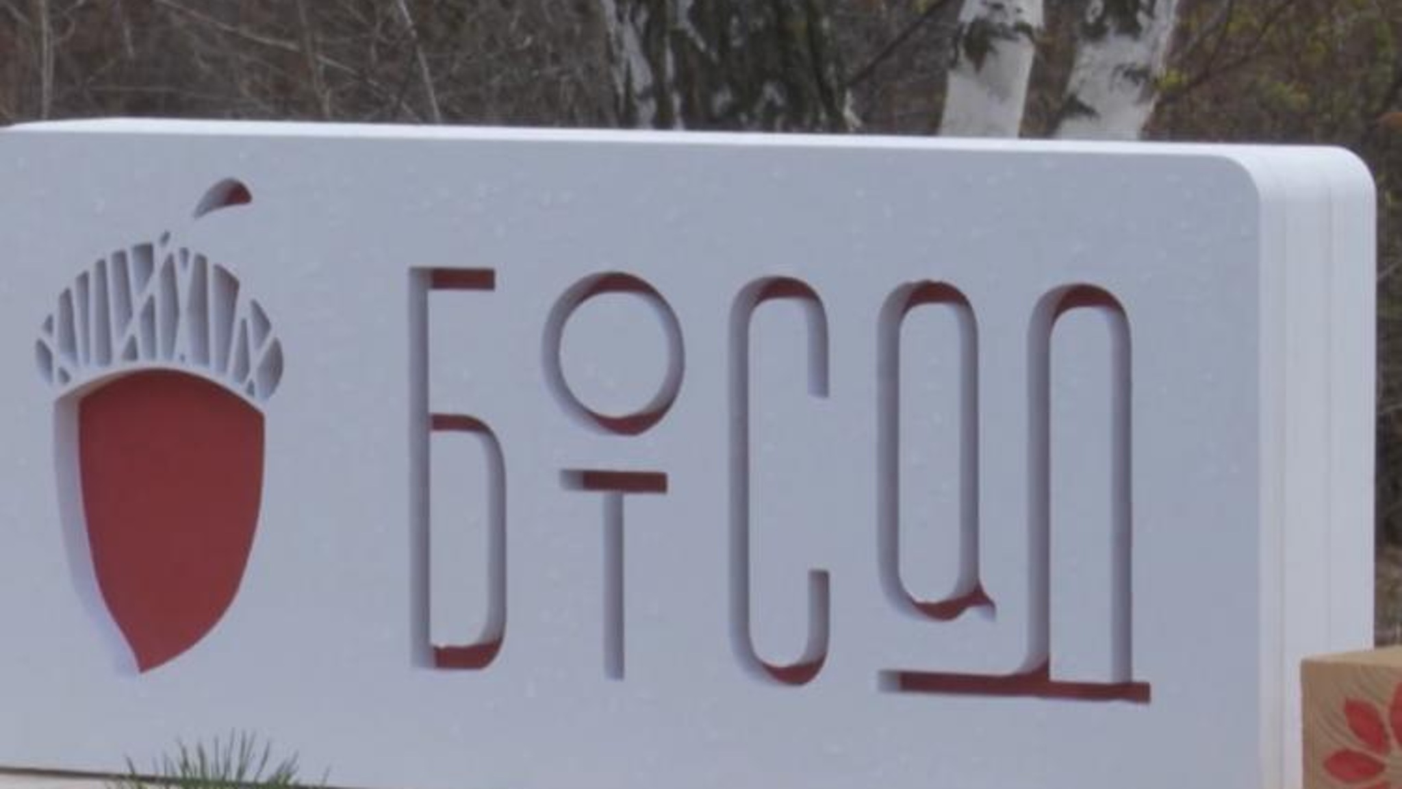 Вячеслав Володин провел совещание в режиме ВКС по теме реконструкции второй очереди Ботанического сада СГУ