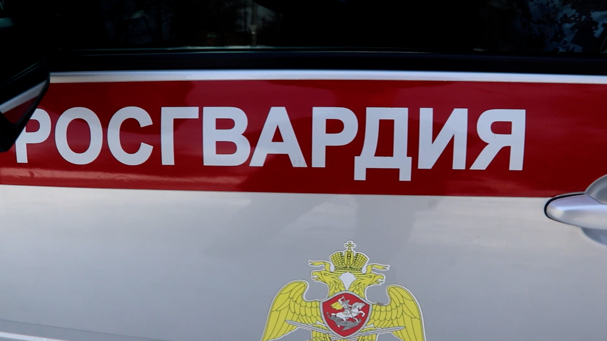 Росгвардейцы спасли женщину с ребенком из-под колес