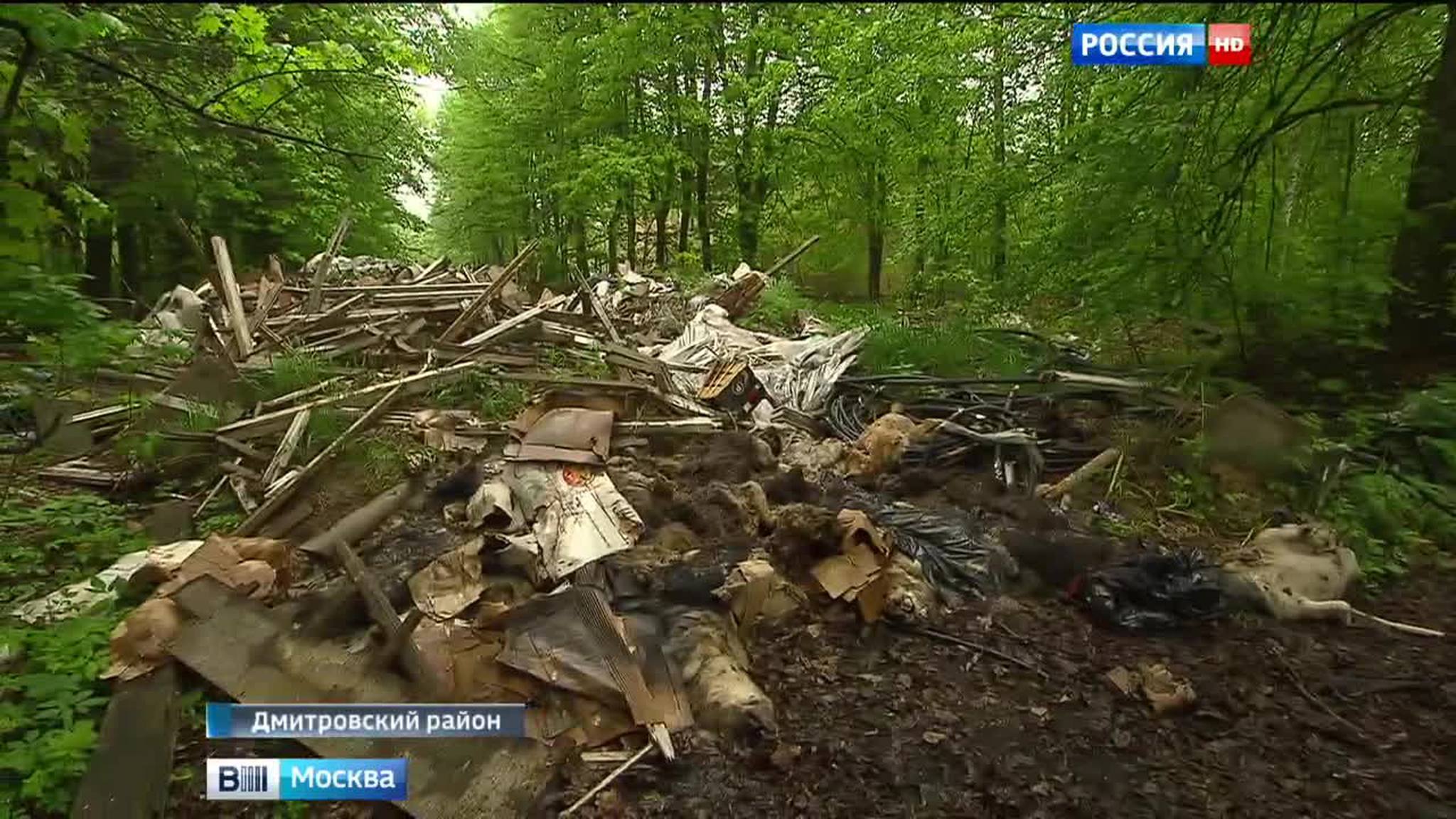 На свалке под Дмитровом найдены трупы отравленных собак