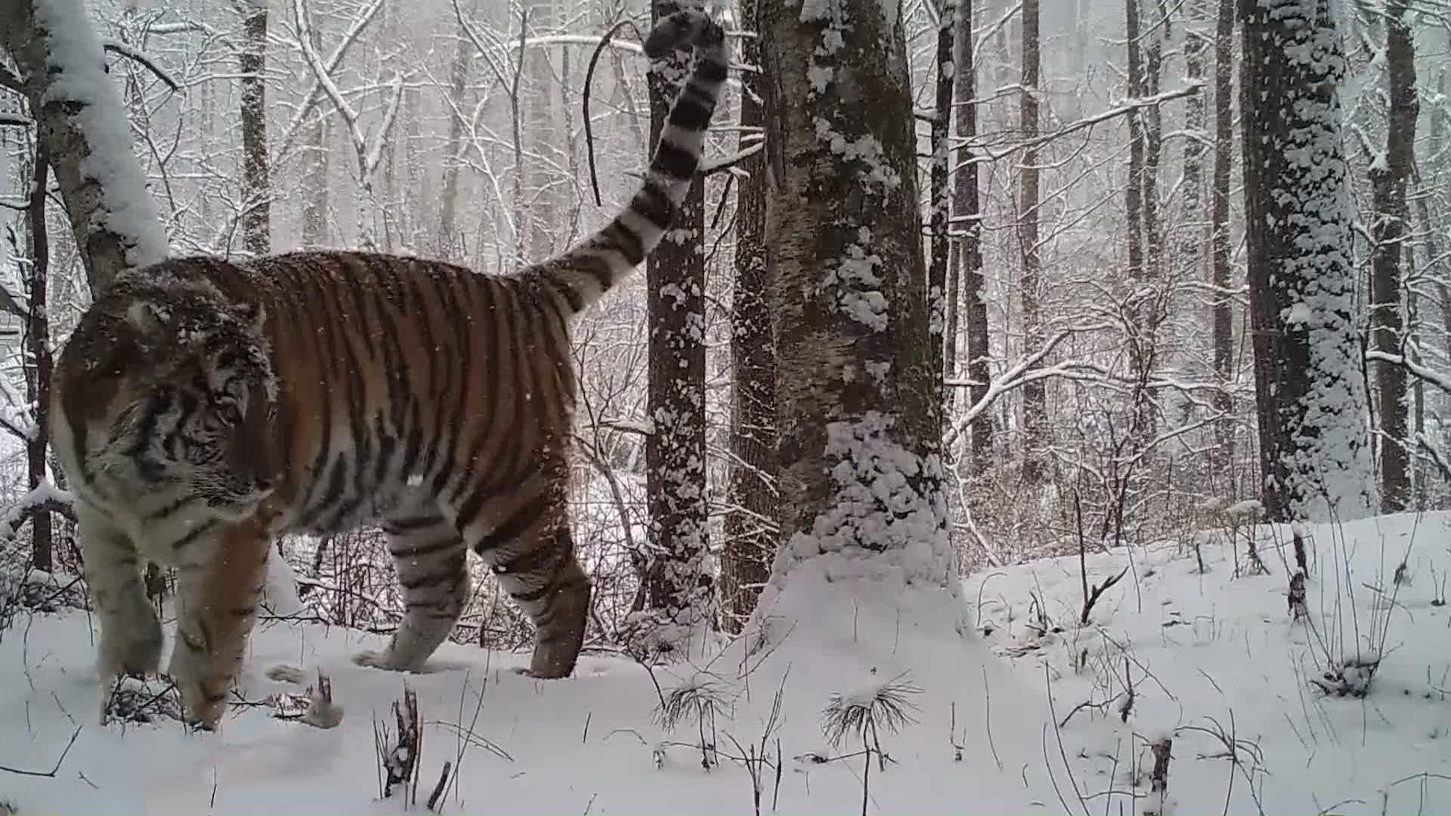 Эфир 15.03.2026