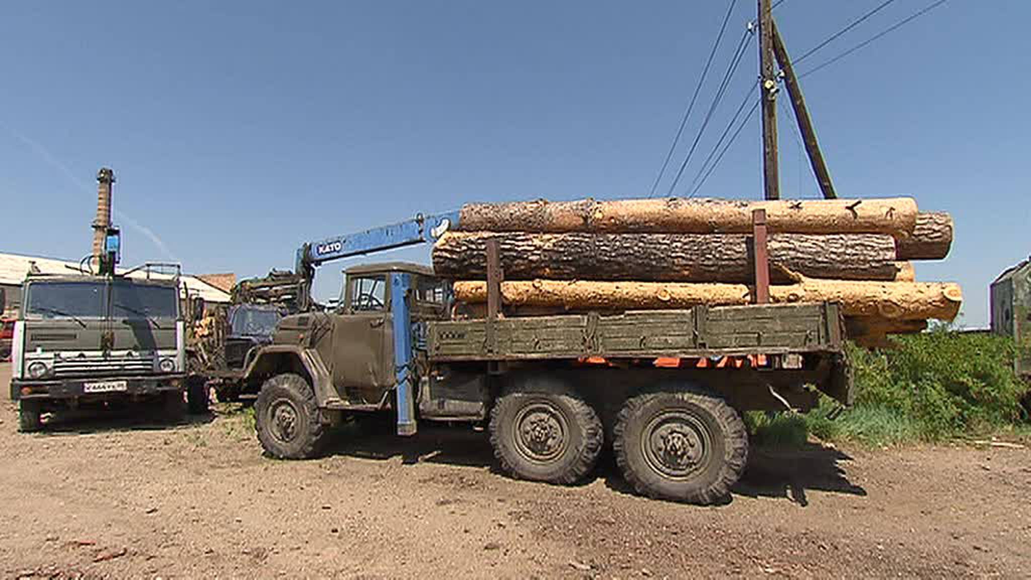 Поправки в Лесной кодекс: за лесами будут следить со спутников