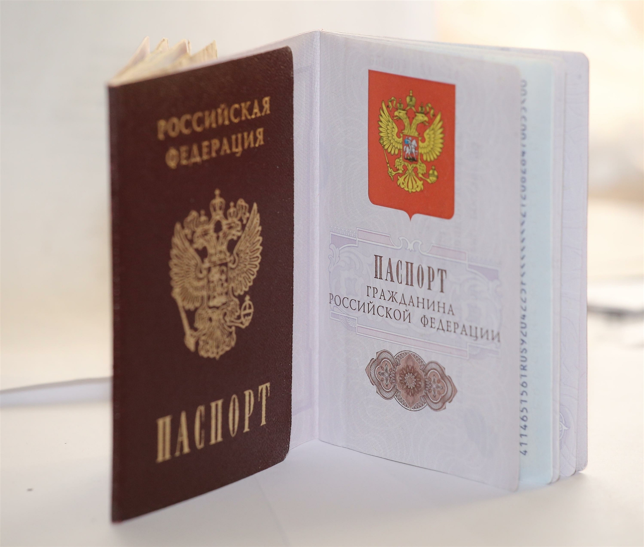 Депутат Хинштейн предложил лишать россиян гражданства за ненависть к стране