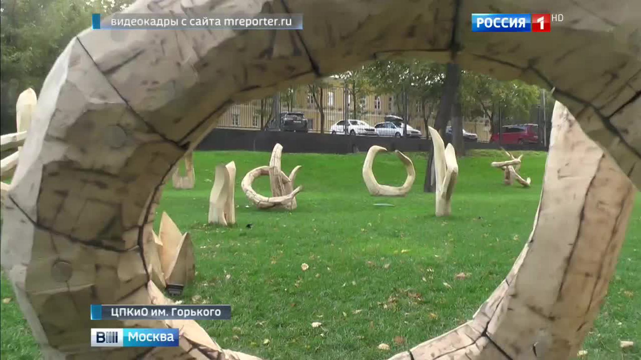 В парке Горького появились скульптурные ростки папоротника