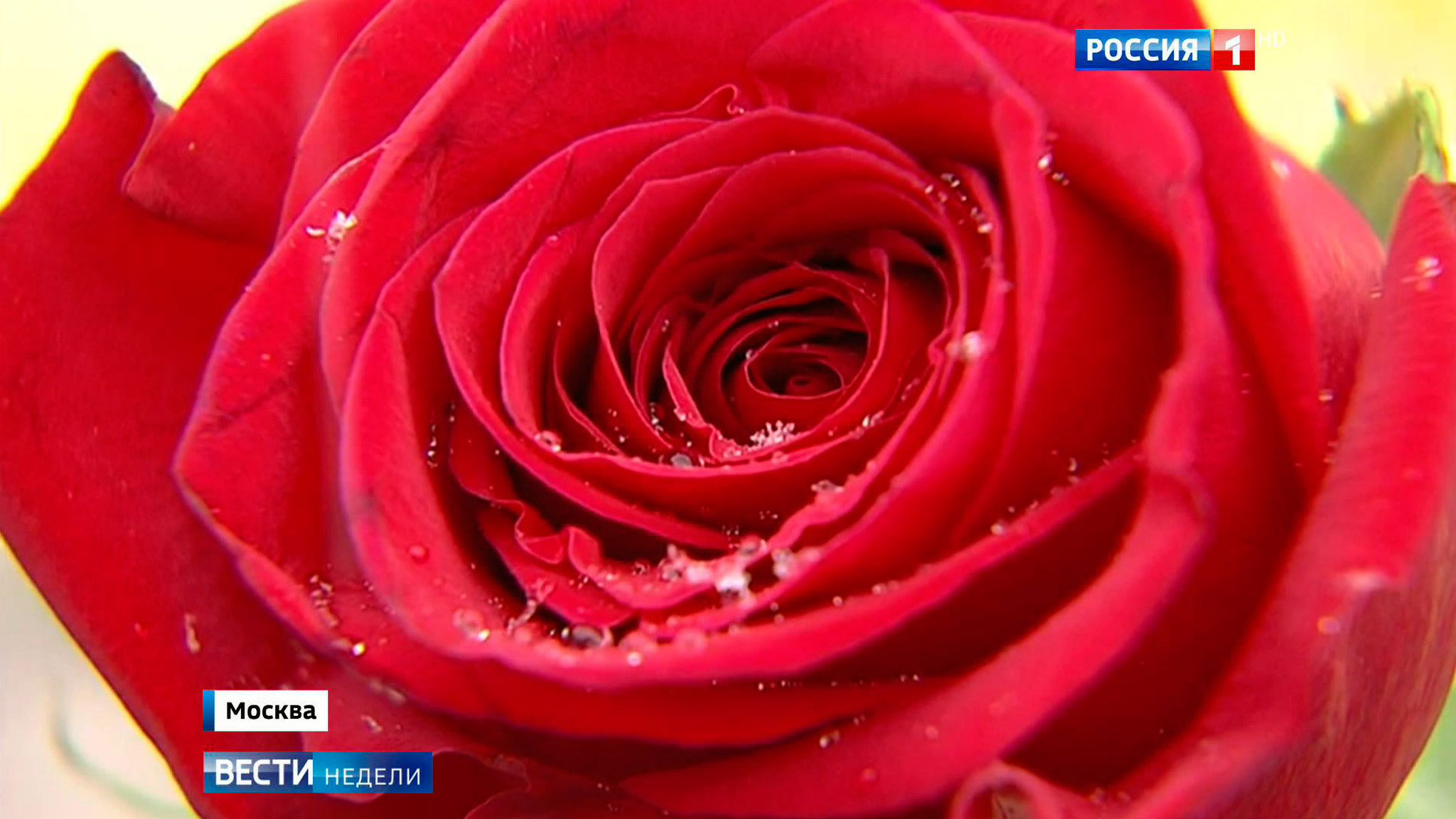 В Москве прошла акция памяти жертв политических репрессий