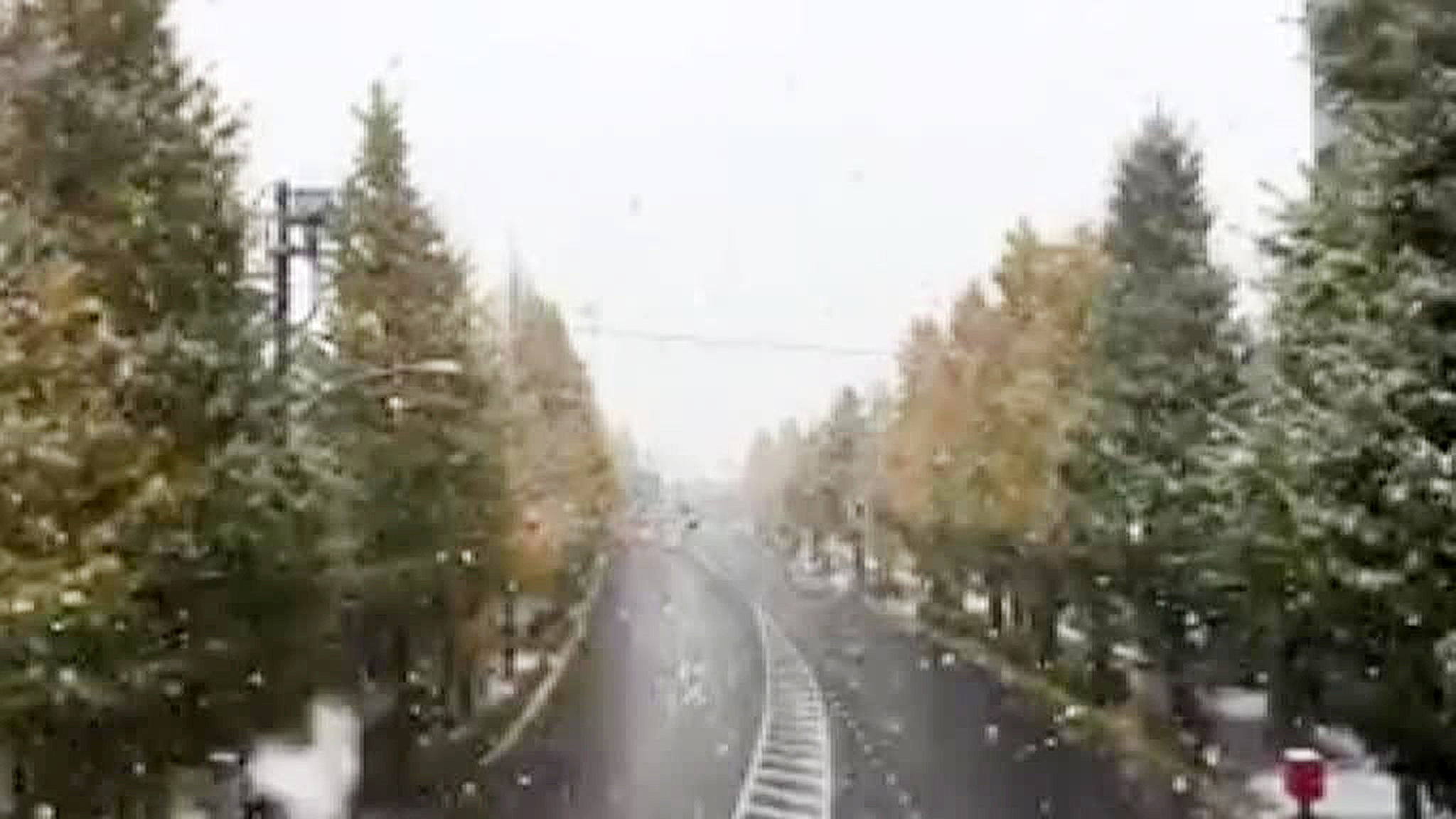 Токио неожиданно засыпало снегом