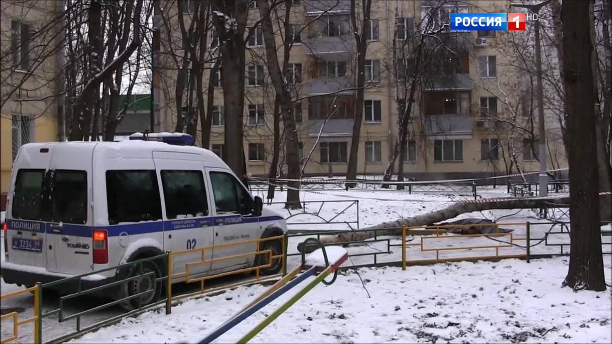 Трагедия на востоке Москвы: обледенелое дерево рухнуло на прохожих