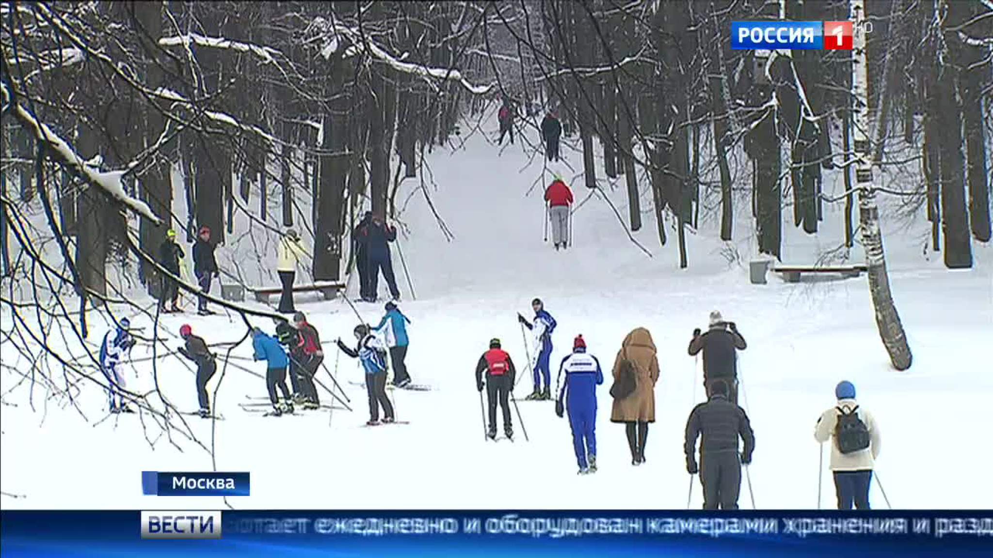 На ВДНХ открыт пункт проката лыж