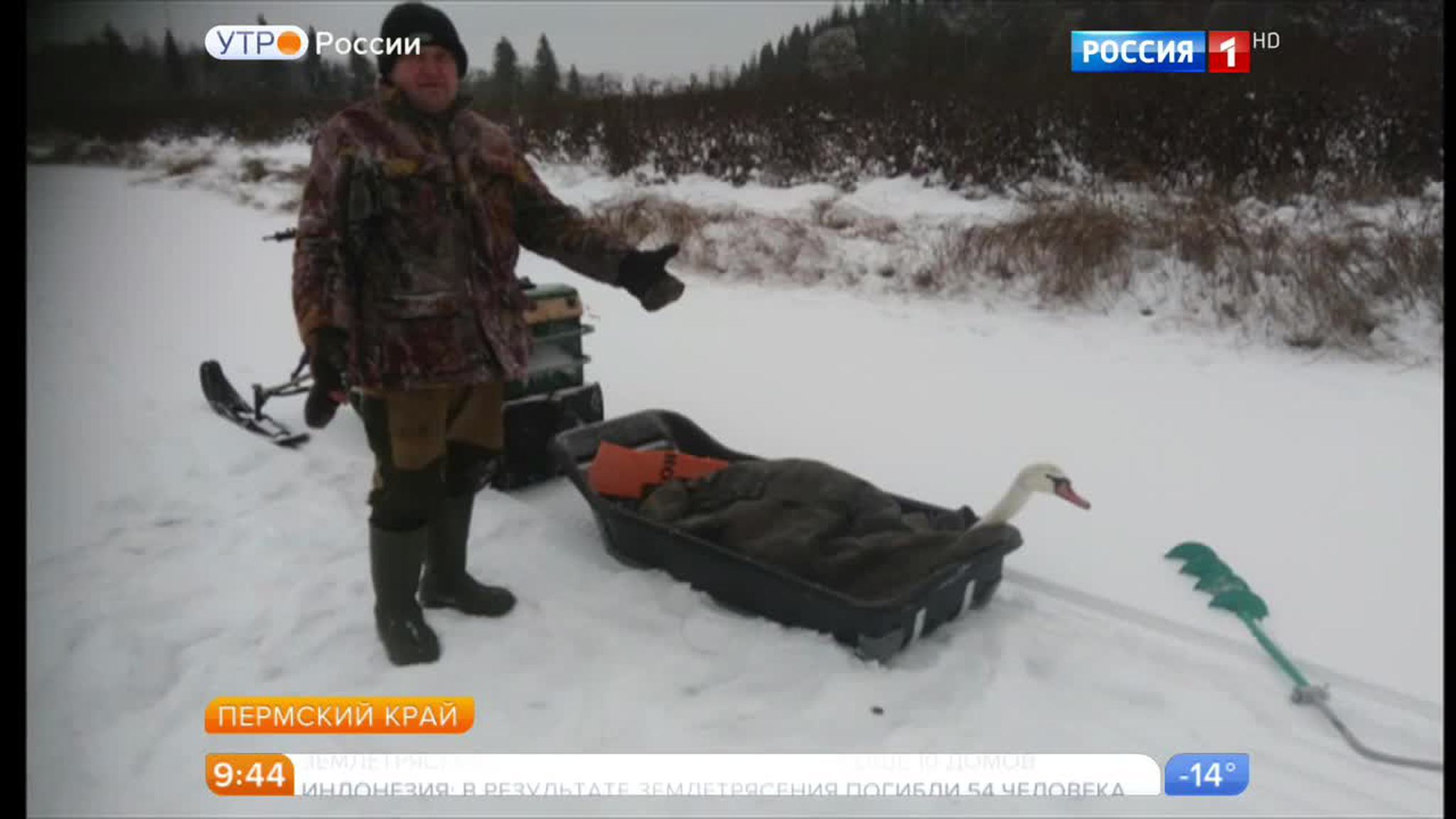 Эфир от 07.12.2016