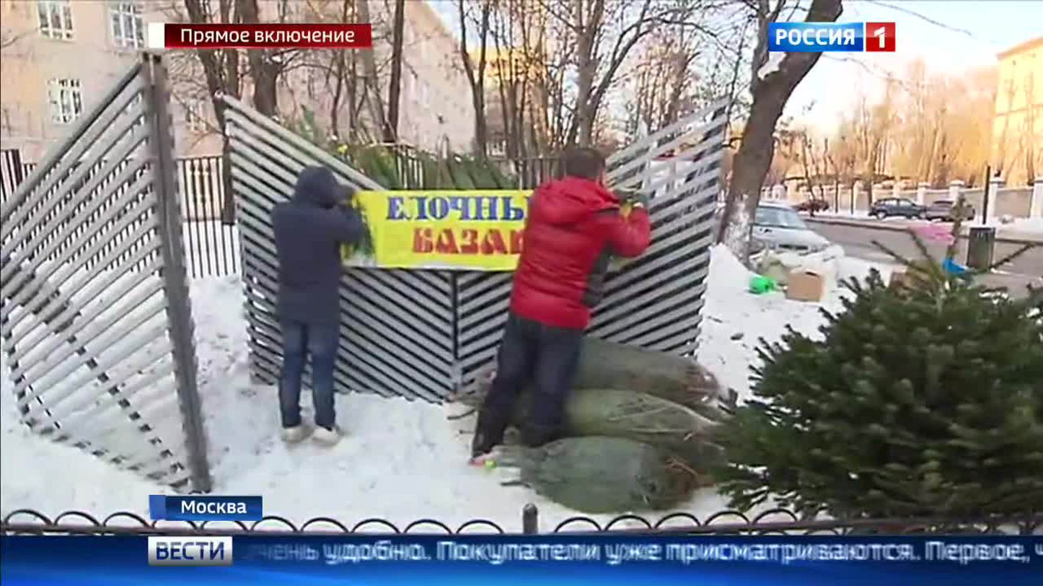 Елочные базары ждут москвичей