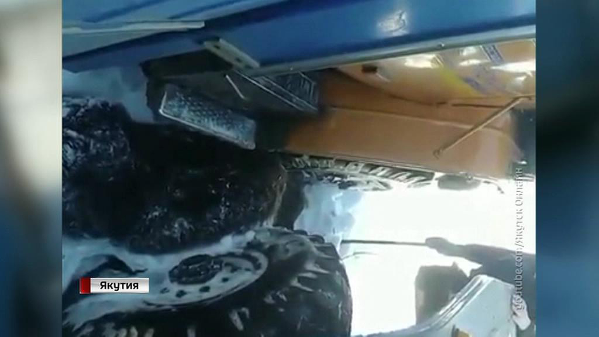 Ужесточат ли ответственность за жестокость по отношению к животным