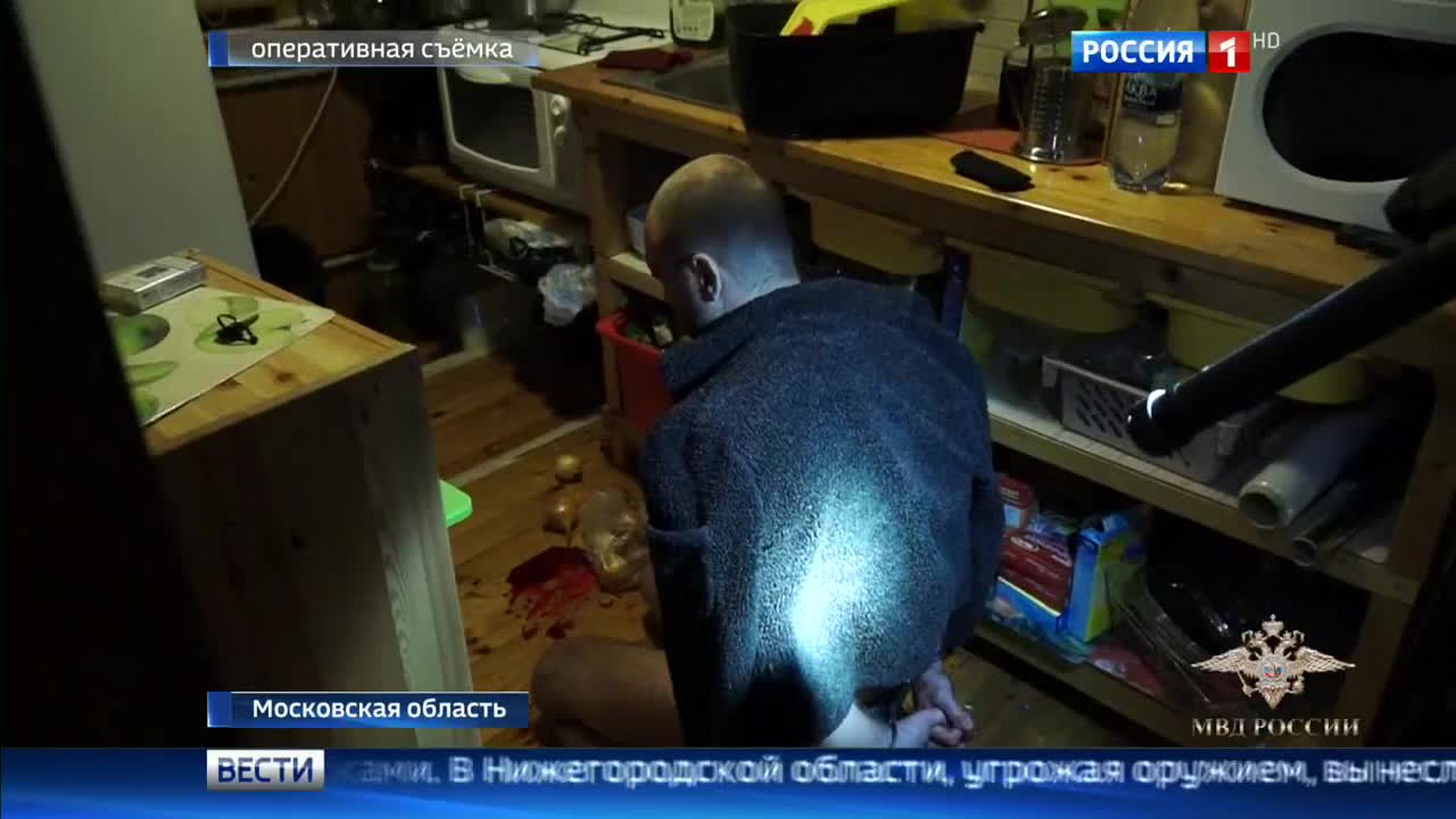 В Подмосковье задержаны подозреваемые в краже полотен Левитана