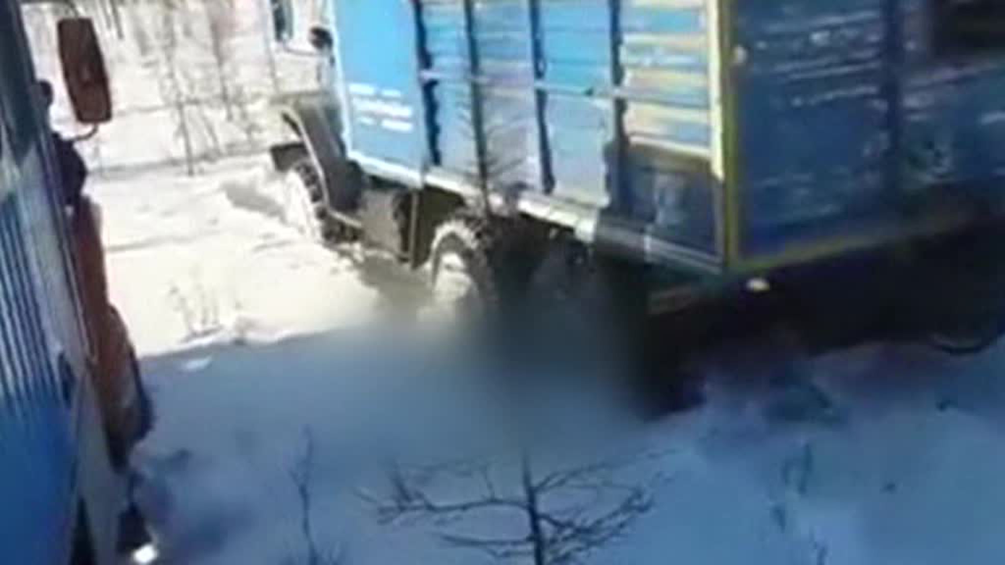 Живодеры, убившие в Якутске медведя, назвали это самообороной