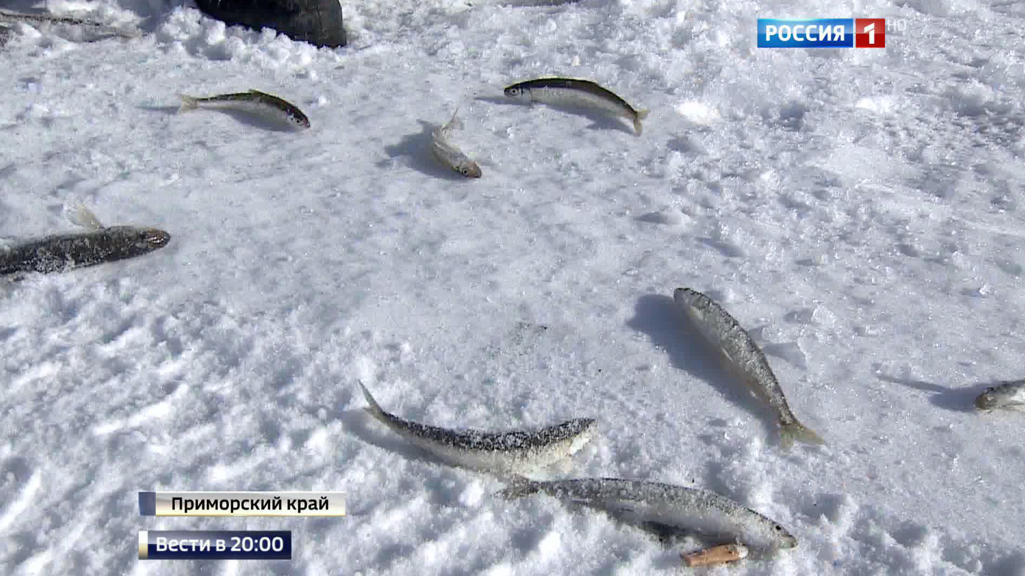 Замороженная Россия: людей призывают не гулять без надобности