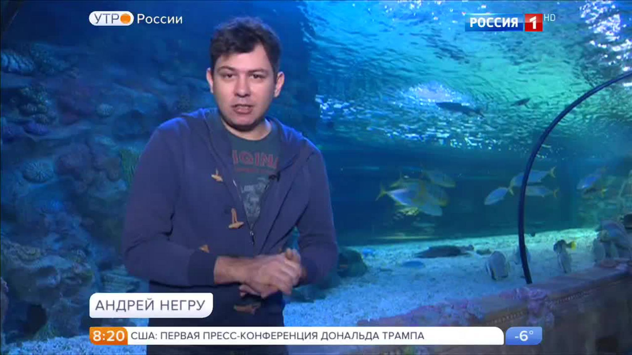 Эфир от 11.01.2017