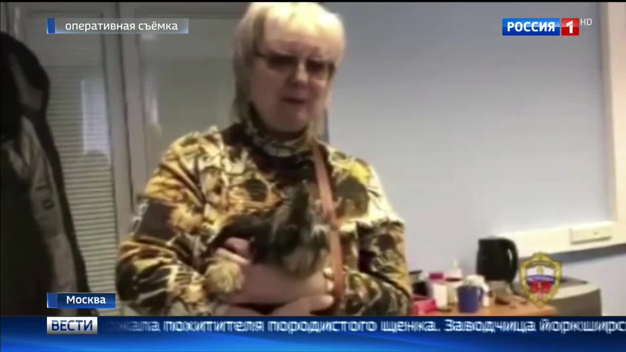 Похититель щенка йорка пошел на грабеж ради любви