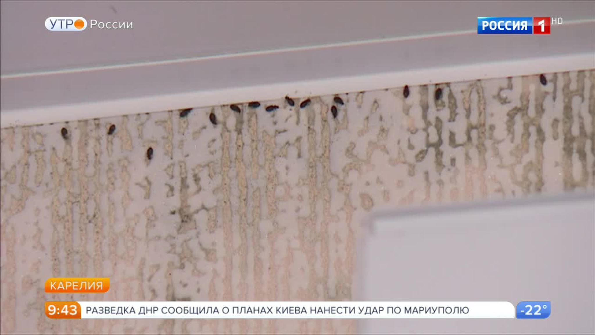Эфир от 07.02.2017