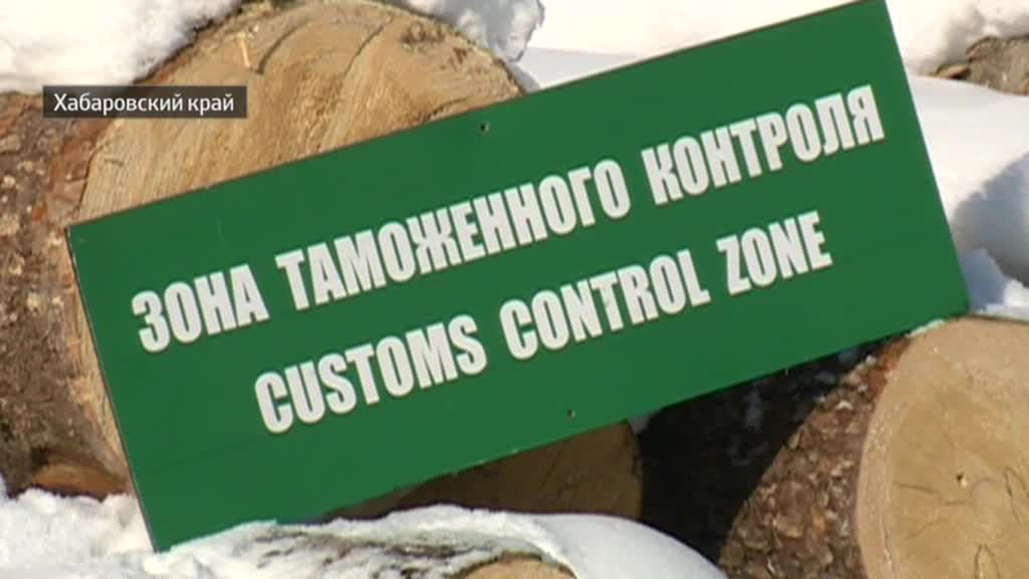 В Хабаровском крае начались проверки экспортной древесины