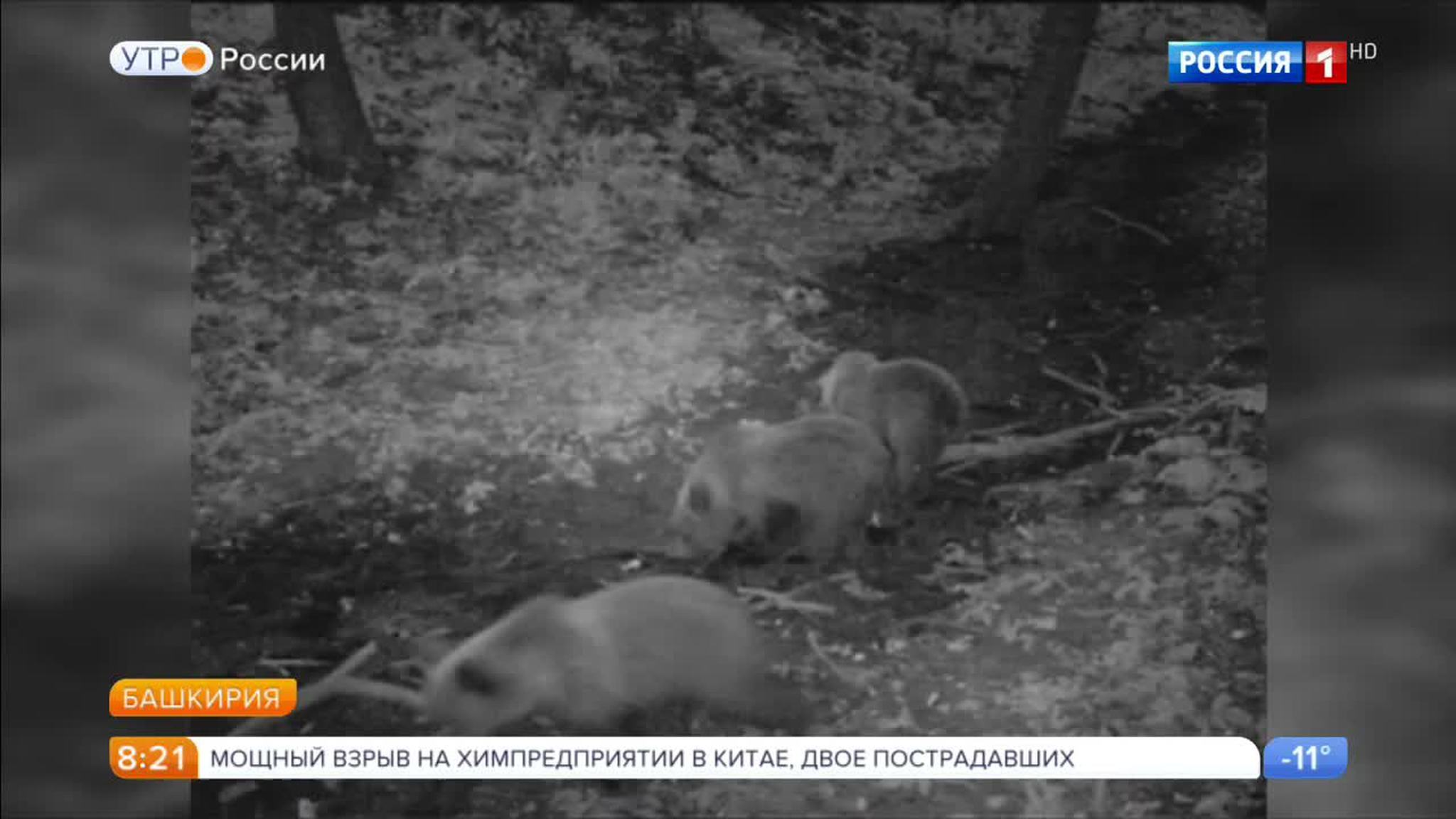 Эфир от 09.02.2017