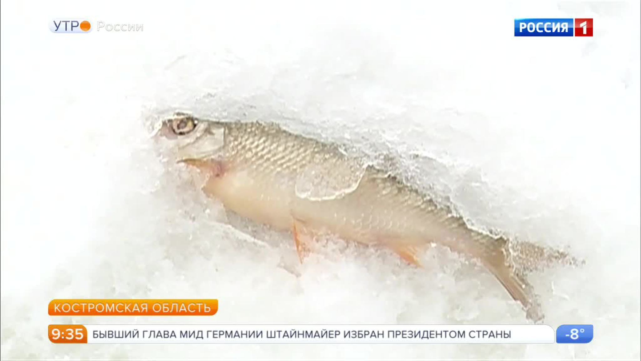 Эфир от 13.02.2017