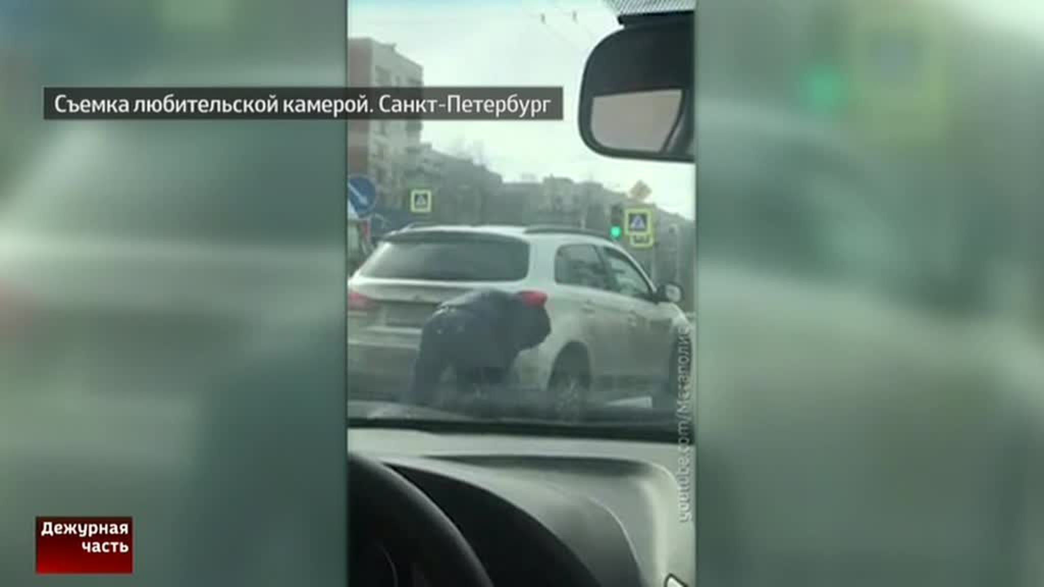 Дорожный конфликт в Петербурге закончился дракой