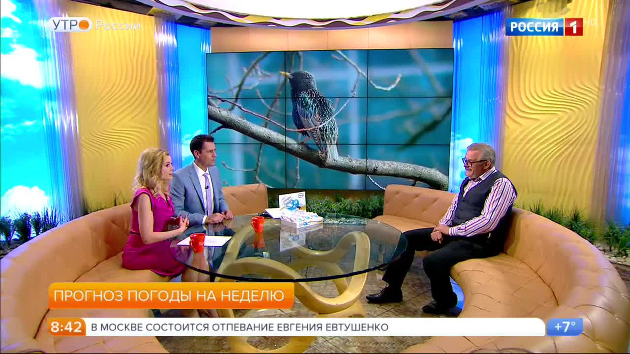 Эфир от 10.04.2017