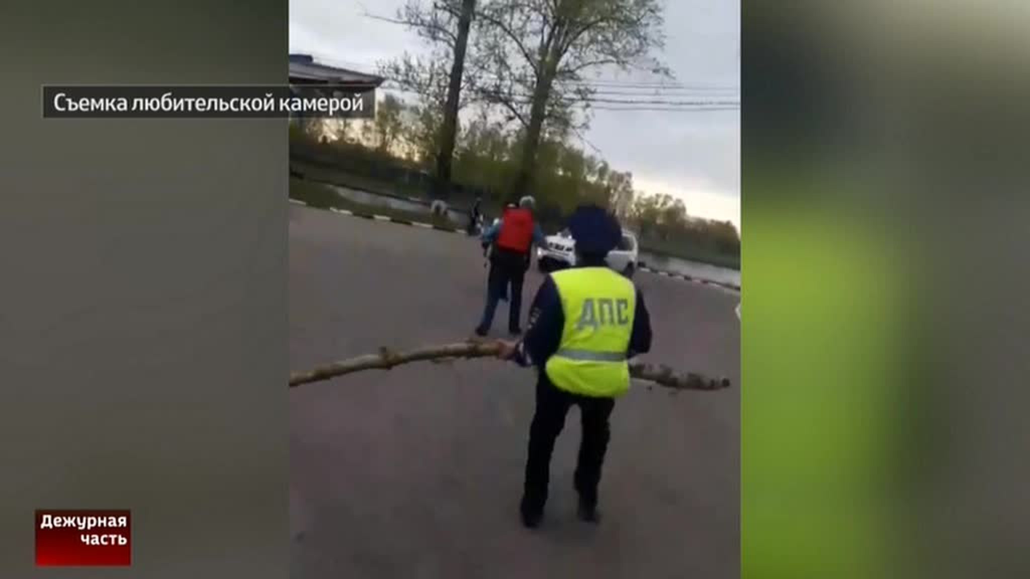 Инспектор ГИБДД остановил дебошира деревом