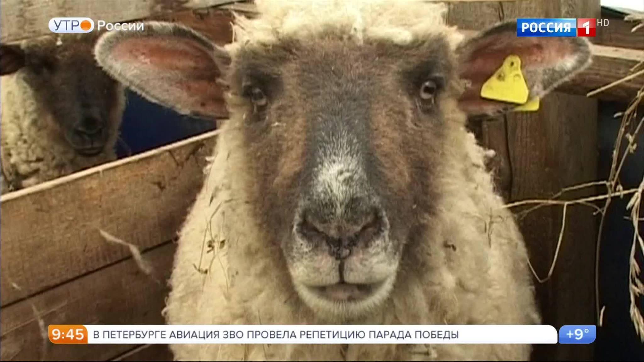 Эфир от 04.05.2017