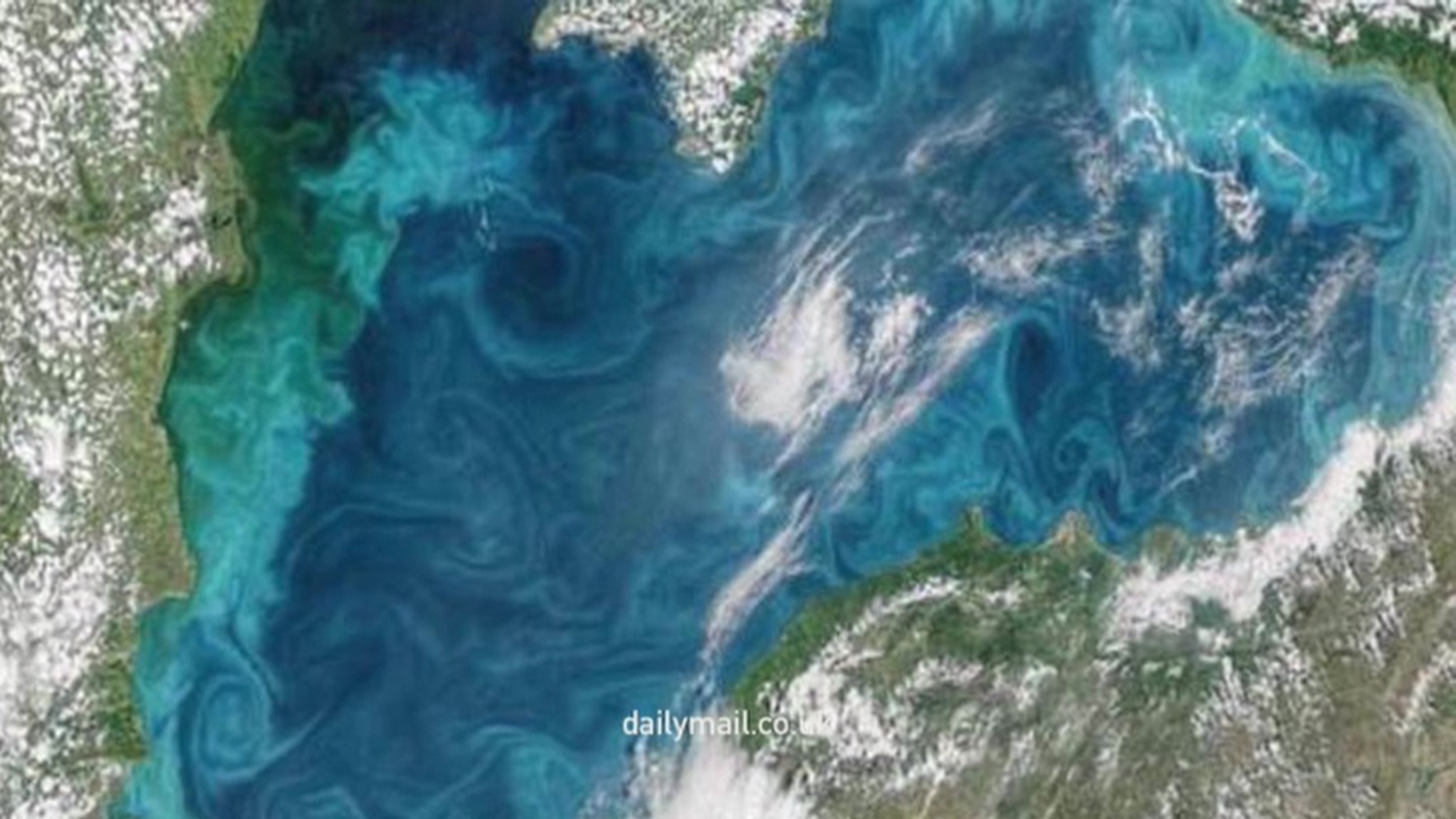 Черное море стало бирюзовым
