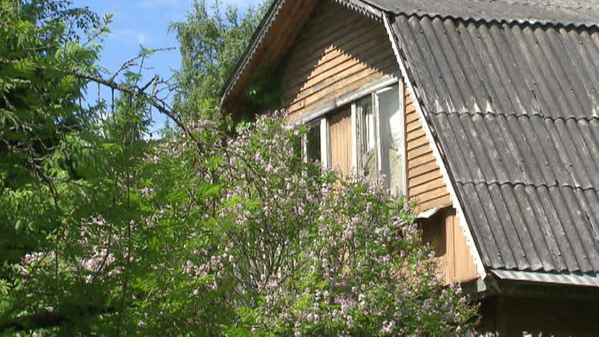 Зеленая карта: ОНФ проводит рейд по Подмосковью