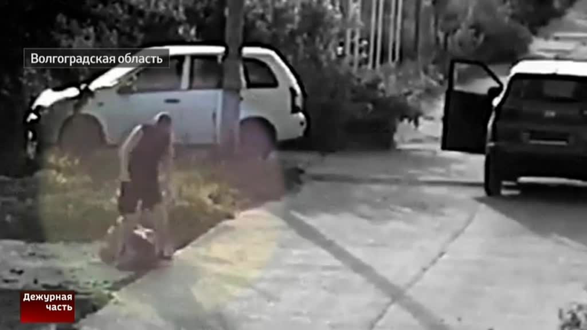Водитель-боксер отправил пешехода в нокаут за замечание